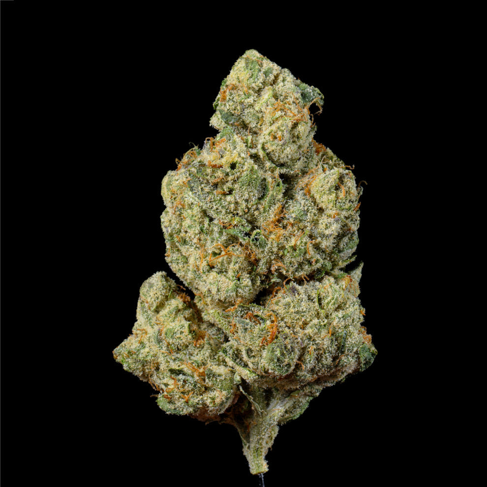 Pave THCa Flower