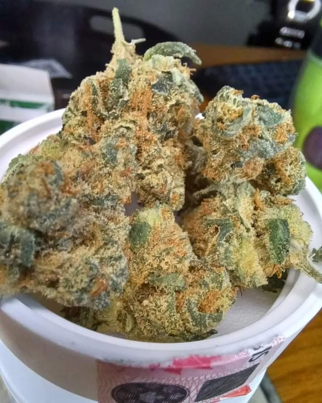 Grape Gas THCa Flower