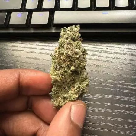 Black Valentine THCa Flower